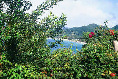 View of Grand Anse beach from hill